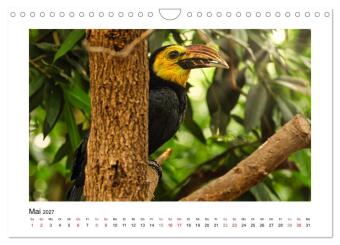 Zauberhaft und farbenfroh (Wandkalender 2027 DIN A4 quer), CALVENDO Monatskalender