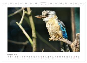 Zauberhaft und farbenfroh (Wandkalender 2027 DIN A4 quer), CALVENDO Monatskalender