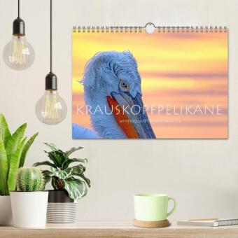 Krauskopfpelikane (Wandkalender 2027 DIN A4 quer), CALVENDO Monatskalender