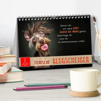 Tierische Klugscheißer (Tischkalender 2027 DIN A5 quer), CALVENDO Monatskalender