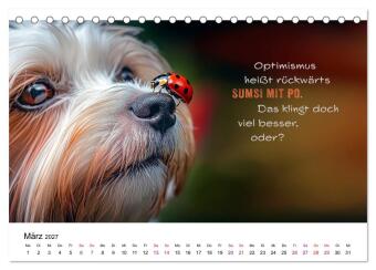 Tierische Klugscheißer (Tischkalender 2027 DIN A5 quer), CALVENDO Monatskalender