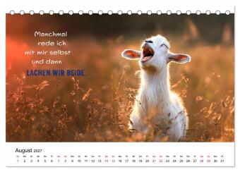 Tierische Klugscheißer (Tischkalender 2027 DIN A5 quer), CALVENDO Monatskalender