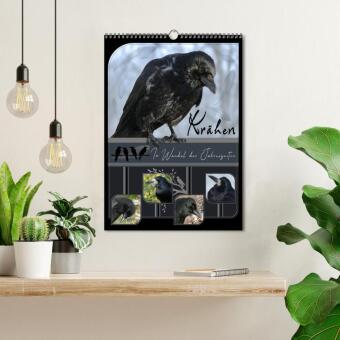 Krähen - Im Wandel der Jahreszeiten (Wandkalender 2027 DIN A3 hoch), CALVENDO Monatskalender