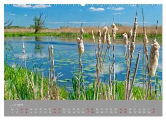 Nationalpark Unteres Odertal (hochwertiger Premium Wandkalender 2027 DIN A2 quer), Kunstdruck in Hochglanz