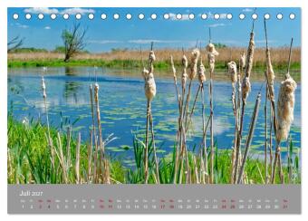 Nationalpark Unteres Odertal (Tischkalender 2027 DIN A5 quer), CALVENDO Monatskalender