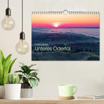 Nationalpark Unteres Odertal (Wandkalender 2027 DIN A4 quer), CALVENDO Monatskalender