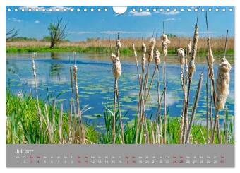 Nationalpark Unteres Odertal (Wandkalender 2027 DIN A4 quer), CALVENDO Monatskalender