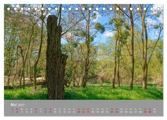 Biosphärenreservat Schorfhede-Chorin (Tischkalender 2027 DIN A5 quer), CALVENDO Monatskalender