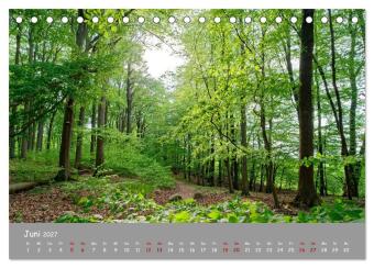 Biosphärenreservat Schorfhede-Chorin (Tischkalender 2027 DIN A5 quer), CALVENDO Monatskalender