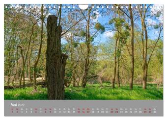 Biosphärenreservat Schorfhede-Chorin (Wandkalender 2027 DIN A4 quer), CALVENDO Monatskalender