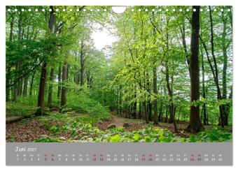 Biosphärenreservat Schorfhede-Chorin (Wandkalender 2027 DIN A4 quer), CALVENDO Monatskalender