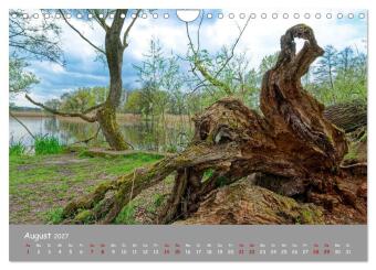 Biosphärenreservat Schorfhede-Chorin (Wandkalender 2027 DIN A4 quer), CALVENDO Monatskalender