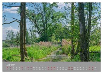 Naturerlebnis im Biosphärenreservat Drömling (hochwertiger Premium Wandkalender 2027 DIN A2 quer), Kunstdruck in Hochglanz