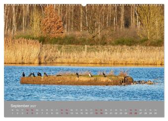 Naturerlebnis im Biosphärenreservat Drömling (hochwertiger Premium Wandkalender 2027 DIN A2 quer), Kunstdruck in Hochglanz