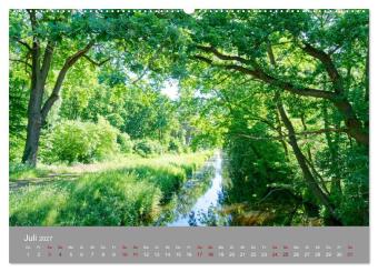 Naturerlebnis im Biosphärenreservat Drömling (Wandkalender 2027 DIN A2 quer), CALVENDO Monatskalender