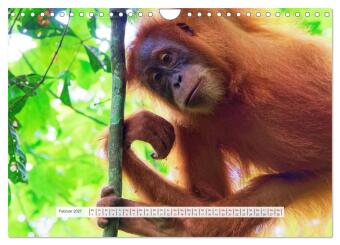 Bekanntes und Unbekanntes Indonesien (Wandkalender 2027 DIN A4 quer), CALVENDO Monatskalender