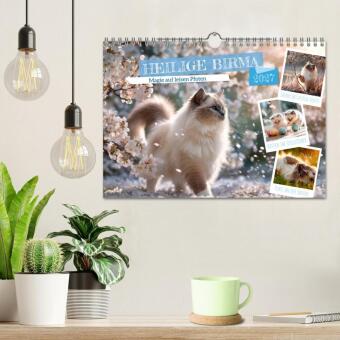 Heilige Birma - Magie auf leisen Pfoten (Wandkalender 2027 DIN A4 quer), CALVENDO Monatskalender