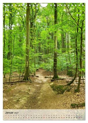 Nationalpark Jasmund Rügen (Wandkalender 2027 DIN A4 hoch), CALVENDO Monatskalender