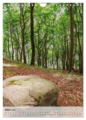 Nationalpark Jasmund Rügen (Wandkalender 2027 DIN A4 hoch), CALVENDO Monatskalender