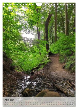 Nationalpark Jasmund Rügen (Wandkalender 2027 DIN A4 hoch), CALVENDO Monatskalender