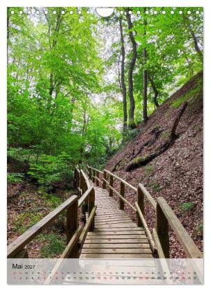 Nationalpark Jasmund Rügen (Wandkalender 2027 DIN A4 hoch), CALVENDO Monatskalender