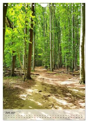 Nationalpark Jasmund Rügen (Wandkalender 2027 DIN A4 hoch), CALVENDO Monatskalender