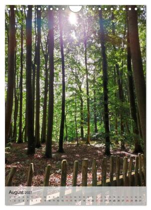 Nationalpark Jasmund Rügen (Wandkalender 2027 DIN A4 hoch), CALVENDO Monatskalender