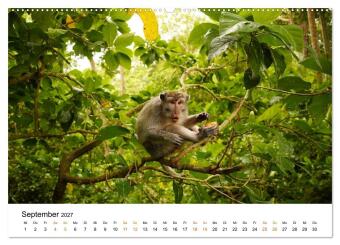 Südostasien - Thailand, Philippinen, Bali (Wandkalender 2027 DIN A2 quer), CALVENDO Monatskalender