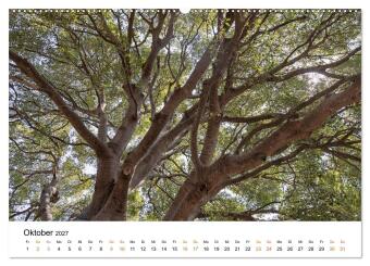 Mallorca - Paradies zwischen Himmel und Meer (hochwertiger Premium Wandkalender 2027 DIN A2 quer), Kunstdruck in Hochglanz