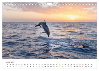 Mallorca - Paradies zwischen Himmel und Meer (Wandkalender 2027 DIN A4 quer), CALVENDO Monatskalender