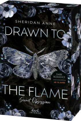 Secret Obsession (Band 1) - Drawn to the Flame