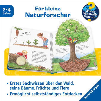 Wieso? Weshalb? Warum? junior, Band 6 - Der Wald