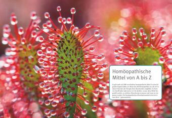 Homöopathie - Das große Handbuch