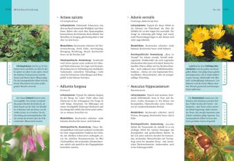 Homöopathie - Das große Handbuch