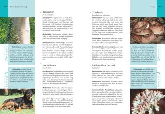 Homöopathie - Das große Handbuch