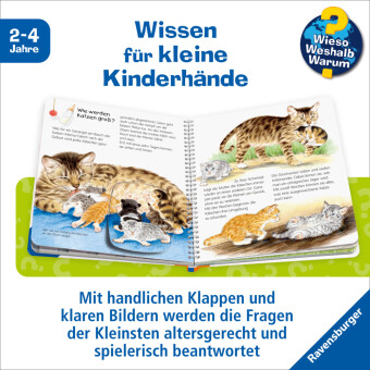 Wieso? Weshalb? Warum? junior, Band 21 - Die Katze
