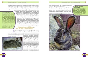 Leben mit Kaninchen