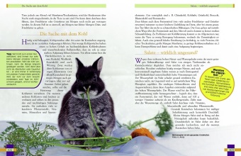 Leben mit Kaninchen