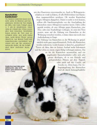 Leben mit Kaninchen