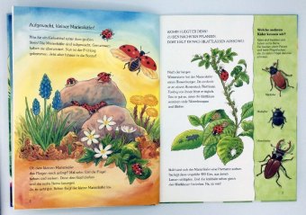 Der kleine Marienkäfer und die Tiere auf der Wiese