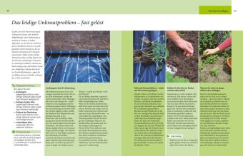 Pflegeleichter Garten