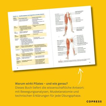 Pilates Anatomie