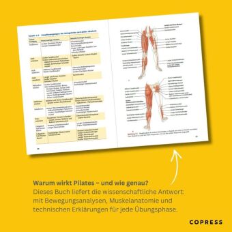 Pilates Anatomie