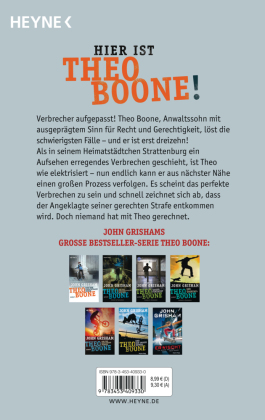 Theo Boone und der unsichtbare Zeuge