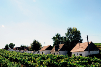Weinviertler Kellergassen