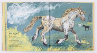 Mein erstes großes Buch von der Natur 