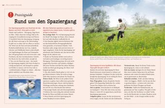 Hunde - Das große Praxishandbuch