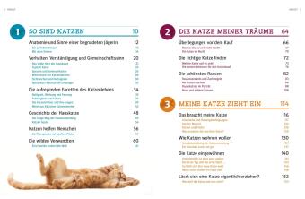 Katzen - Das große Praxishandbuch