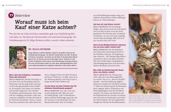 Katzen - Das große Praxishandbuch
