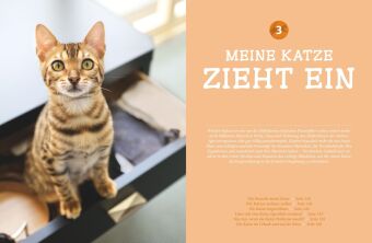 Katzen - Das große Praxishandbuch